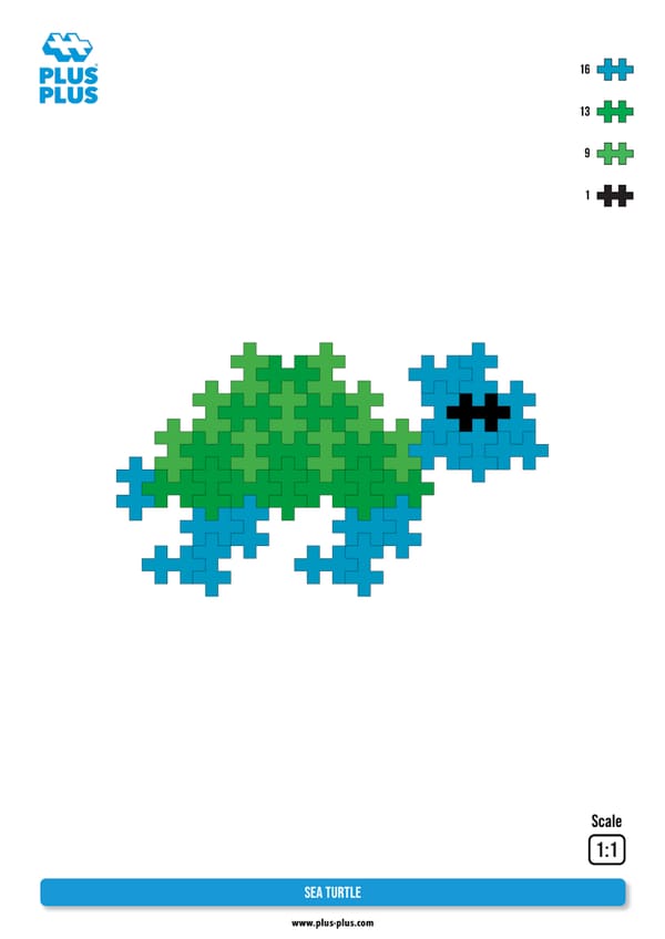 Sea Turtle 海龜