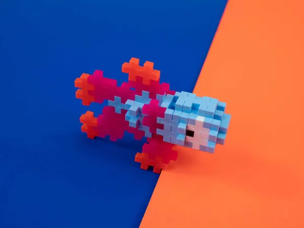 Fish